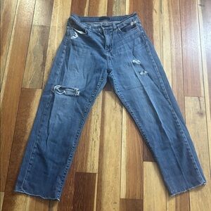Uniqlo Classic Blue Denim Jeans